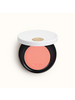 Румяна Hermès Silky Blush Powder - 23 Rose Blush бренд HERMES продавец Продавец № 740357