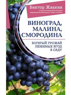 Виноград, малина, смородина. Богатый урожай любимых ягод в