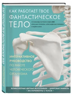 Как работает твое фантастическое тело