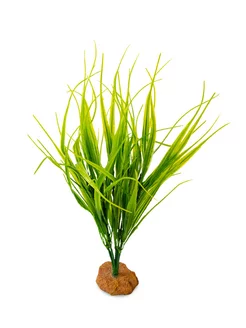 Растение Sumatra Grass для террариумов, 30х7,5х7,5см