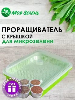 Проращиватель семян (микрозелени) с крышкой + пробники семян