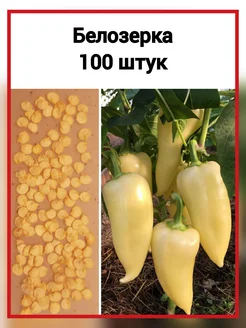 Семена Перец сладкий Белозерка 100 штук