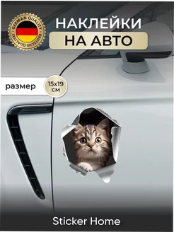 Наклейка на авто Кот