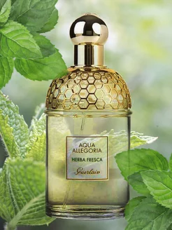 Aqua Allegoria Herba Fresca, Духи Герлен 75мл