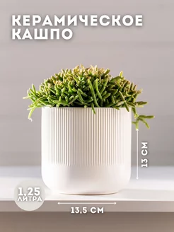 Керамическое кашпо для цветов 13.5*13, "Line" 1,25 л