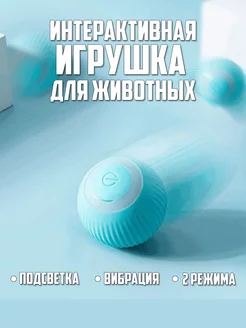 Интерактивная игрушка для кошек