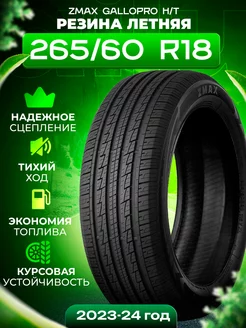 Шины летние 265 60R18 110H GALLOPRO HT