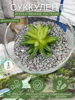 Суккулент декоративный растение искусственное