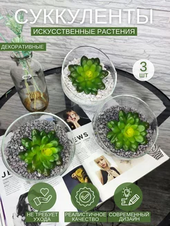 Суккуленты искусственные растение декоративное