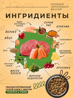 Сухой корм Beef для взрослых кошек и котов с телятиной рыбой