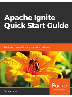 Apache Ignite Quick Start Guide. Крат