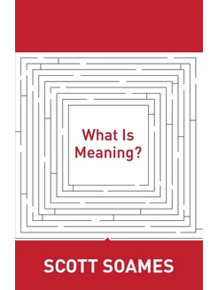 What Is Meaning?