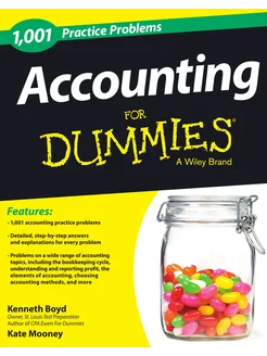 1,001 Accounting Practice Problems For Dummies