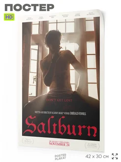 Постер по фильму Солтберн Saltburn на стену А3