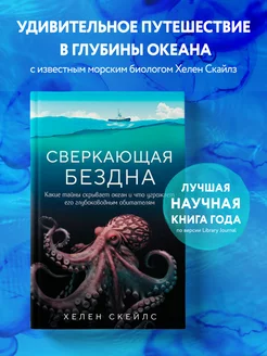 Сверкающая бездна. Какие тайны скрывает океан