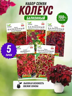 Семена цветов Колеуса комнатного 5 шт