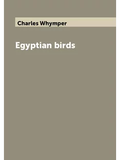 Egyptian birds