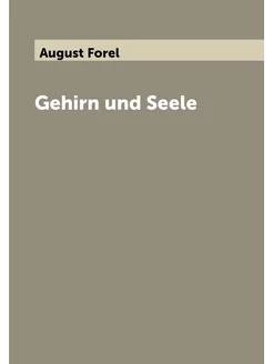 Gehirn und Seele