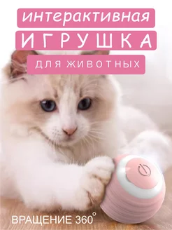 Игрушка для кошек и собак мячик интерактивный