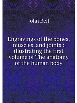 Engravings of the bones, muscles, and