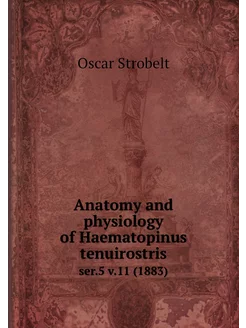 Anatomy and physiology of Haematopinu