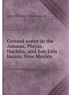 Ground water in the Animas, Playas, H