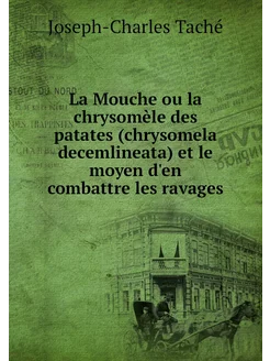 La Mouche ou la chrysomèle des patate