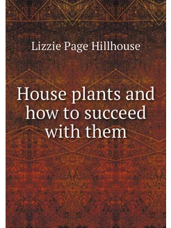 House plants and how to succeed with