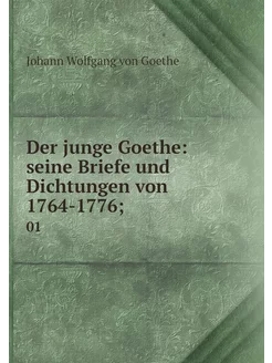 Der junge Goethe seine Briefe und Di