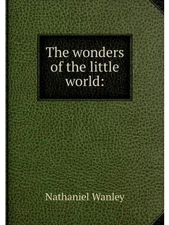 The wonders of the little world