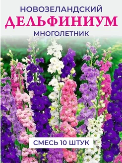 Семена Дельфиниум многолетний новозеландский, урожай 2024