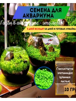 Семена растений для аквариума Глоссостигма