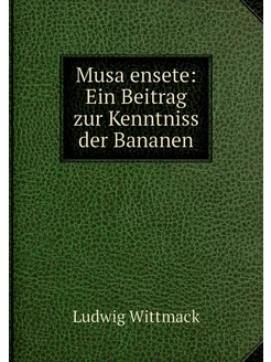 Musa ensete Ein Beitrag zur Kenntnis