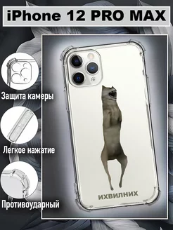 Чехол на iphone 12 pro max с принтом