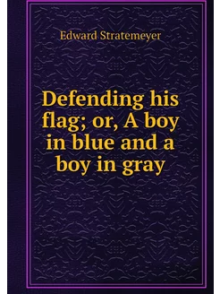 Defending his flag or, A boy in blue