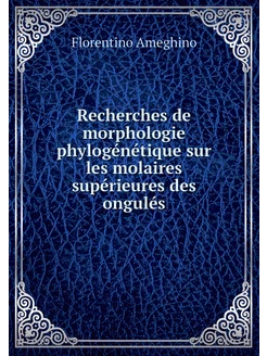 Recherches de morphologie phylogénéti