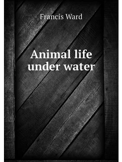 Animal life under water