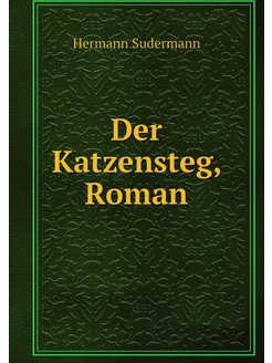 Der Katzensteg, Roman