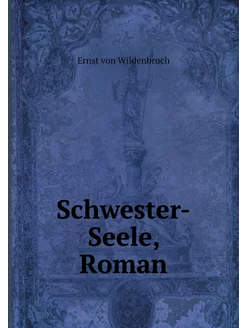 Schwester-Seele, Roman