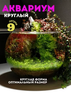 Аквариум круглый для рыбок, петушка, стекло, 9 л