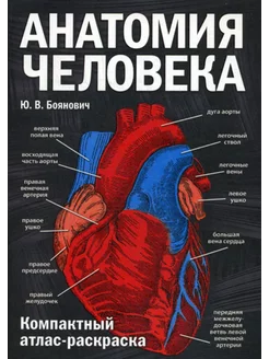 Анатомия человека компактный атлас-раскраска