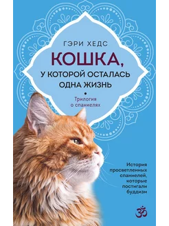 Кошка, у которой осталась одна жизнь