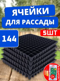 Кассеты для рассады и микрозелени 144 ячейки 5 шт