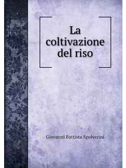 La coltivazione del riso