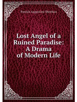 Lost Angel of a Ruined Paradise A Dr