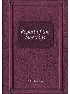 Report of the Meetings