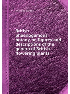 British phaenogamous botany, or, figu