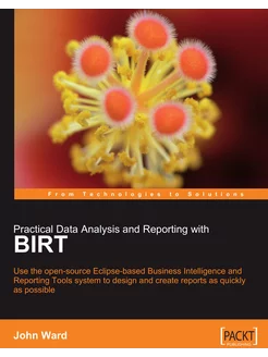 Practical Data Analysis and Reporting with Birt