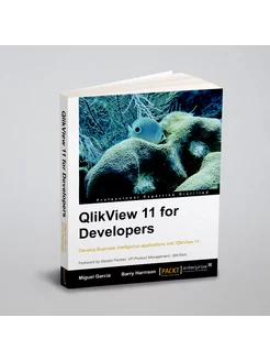 Qlikview 11 Developer's Guide. This book is smartly