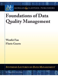 Foundations of Data Quality Management